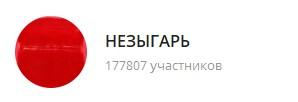 картинка: телеграм канал о политике незыгарь