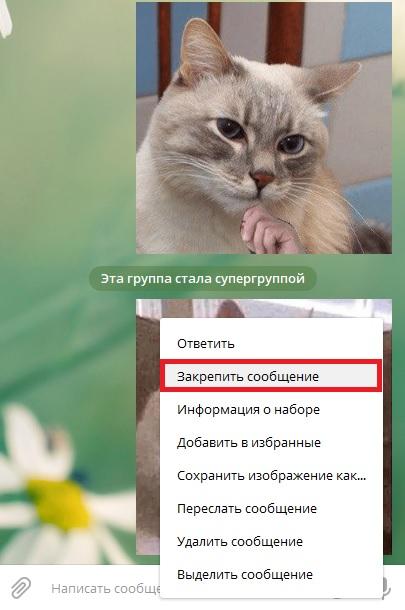 картинка: как закрепить сообщение в телеграм
