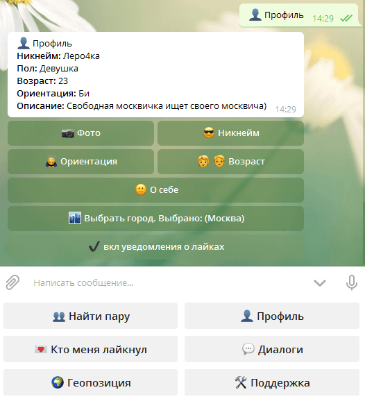 анкета в боте yopsme - скрин