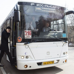 Бот Расписание 316