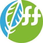 Бот FreshForex easy