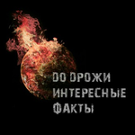 Бот Интересные факты