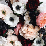 Канал Вредная мода