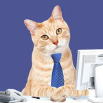 Канал Работа, давай!