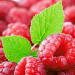 Канал Малинки