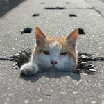 Канал Кисулькены