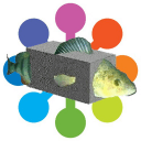 Канал Блог Нетологии