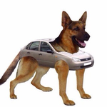 Канал модернізм, який завжди з тобою