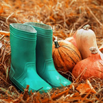 Канал Agrocadabra Агробизнес Агроновости Инновации a7d.com.ua