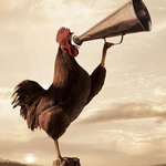 Канал Какая страна - такие селебрити