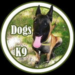 Канал Dogs K9