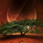 Канал NS| NatureSpace