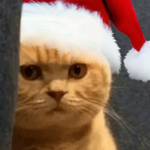 Канал ๖ۣۜХауди Хо™