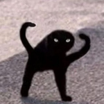 Канал Мемные животные