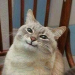 Канал Добрые мемы