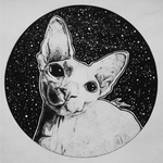 Канал Шкіряні кіцики :3