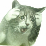 Канал Всратая живность