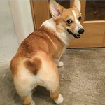 Канал кто сделал кусь?