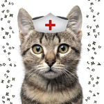 Канал Ветеринарщина