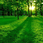 Канал Любите жизнь...❤️