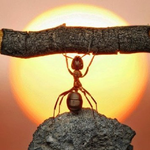 Канал Психонеделька