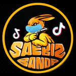 Канал SAEBIZ_TIKTOK