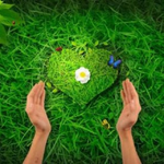 Канал Здоровье от природы