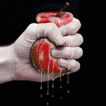 Канал WylsacomRed