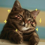 Канал Мой канал с котами