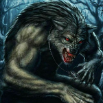 Канал ВОЛЧАРЫ