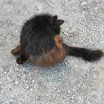 Канал Бесплатный Пиар