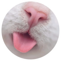 Кошачьи нежности