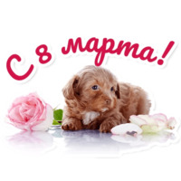 Набор стикеров Милые питомцы