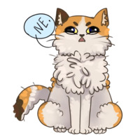 Пушистые котики