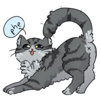 Пушистые котики