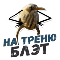 ТАК БЛЭТ
