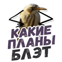 ТАК БЛЭТ
