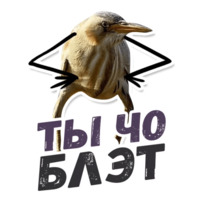 ТАК БЛЭТ