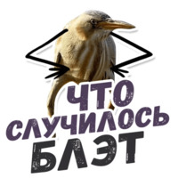 ТАК БЛЭТ