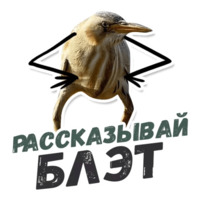 ТАК БЛЭТ