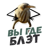 ТАК БЛЭТ