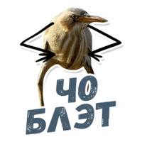 ТАК БЛЭТ