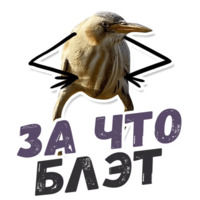 ТАК БЛЭТ