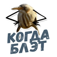 ТАК БЛЭТ