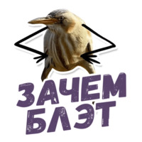 ТАК БЛЭТ