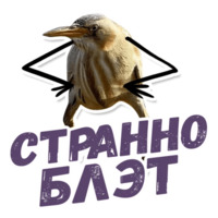 ТАК БЛЭТ