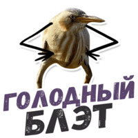 ТАК БЛЭТ