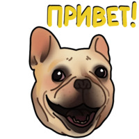 Собачки