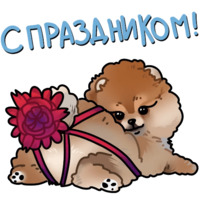Собачки