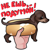 Собачки